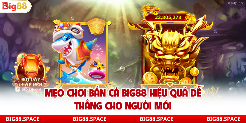 Mẹo chơi bắn cá Big88 hiệu quả dễ thắng cho người mới