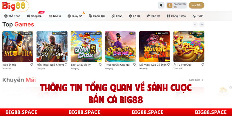Thông tin tổng quan về sảnh cược bắn cá Big88