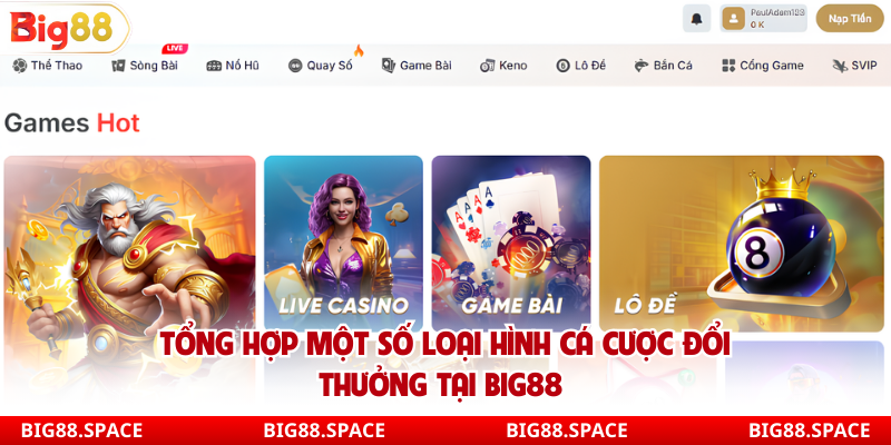 Những đối tác uy tín giúp Big88 ngày càng lớn mạnh