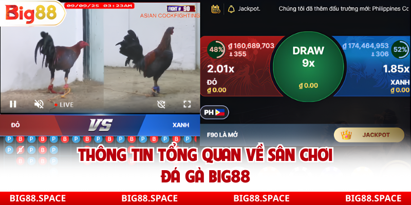 Thông tin tổng quan về sân chơi đá gà Big88