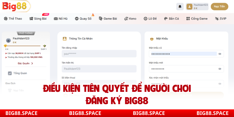 Điều kiện tiên quyết để người chơi đăng ký Big88