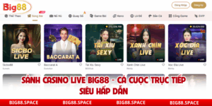 Sảnh live casino big88 đẳng cấp cá cược xanh chín