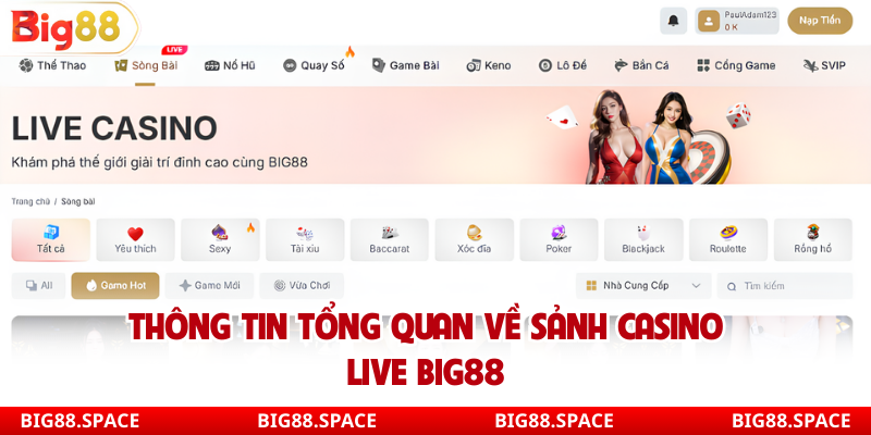 Thông tin tổng quan về sảnh casino live Big88