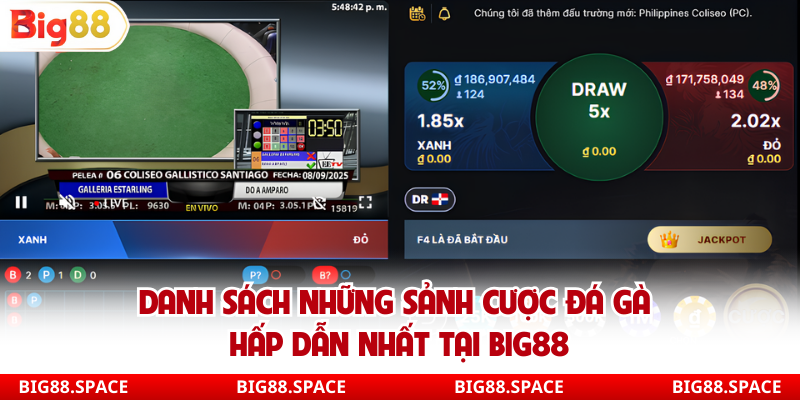 Danh sách những sảnh cược đá gà hấp dẫn nhất tại Big88