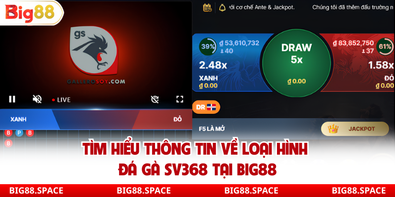 Tìm hiểu thông tin về loại hình đá gà Sv368 tại Big88