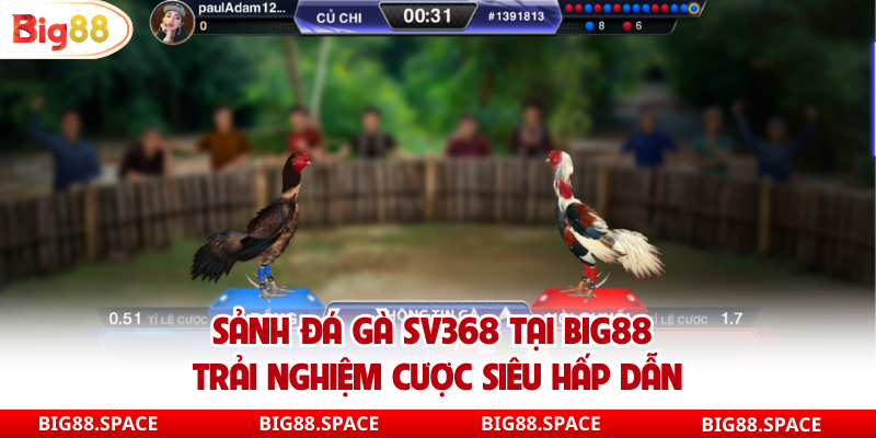 Sảnh đá gà sv368 tại big88 thưởng lớn mỗi ngày