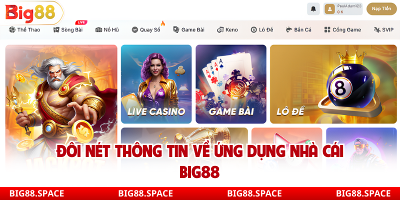 Đôi nét thông tin về ứng dụng nhà cái Big88