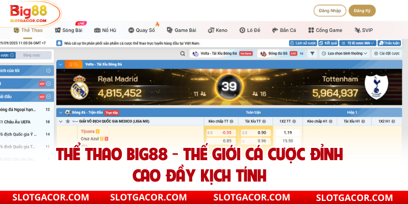 Thể thao big88 trang cá cược xanh chín uy tín